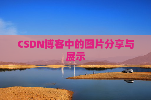 CSDN博客中的图片分享与展示